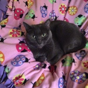 Meet your Posher, Sherry